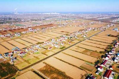 啟東鄉(xiāng)村游再登央視，沙地圩田文化與創(chuàng)新投資雙輪驅(qū)動(dòng)