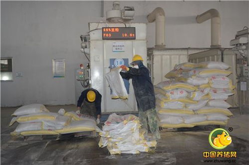 標(biāo)桿工廠，再創(chuàng)輝煌 浙江播恩預(yù)混料與教槽料產(chǎn)銷量破10000噸慶典隆重舉行